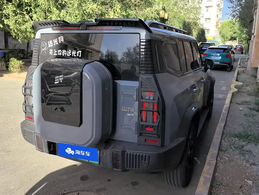 Shanhai Traveller C-DM — миниатюра 3