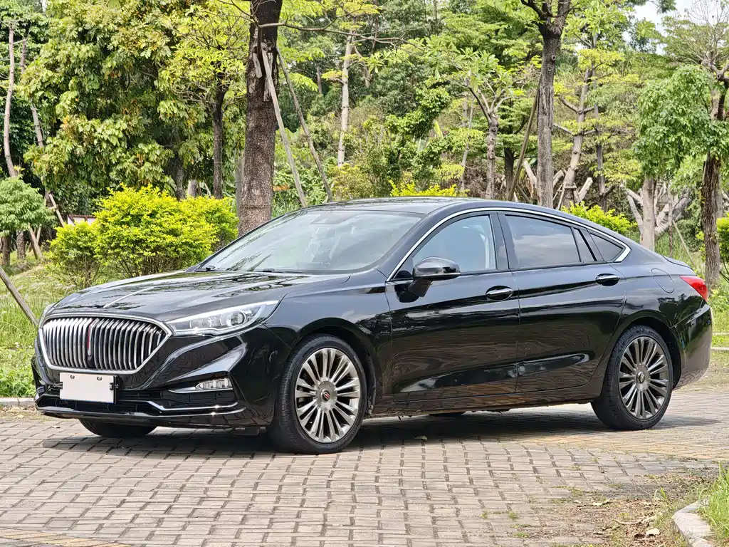 Hongqi Hongqi H5 2020