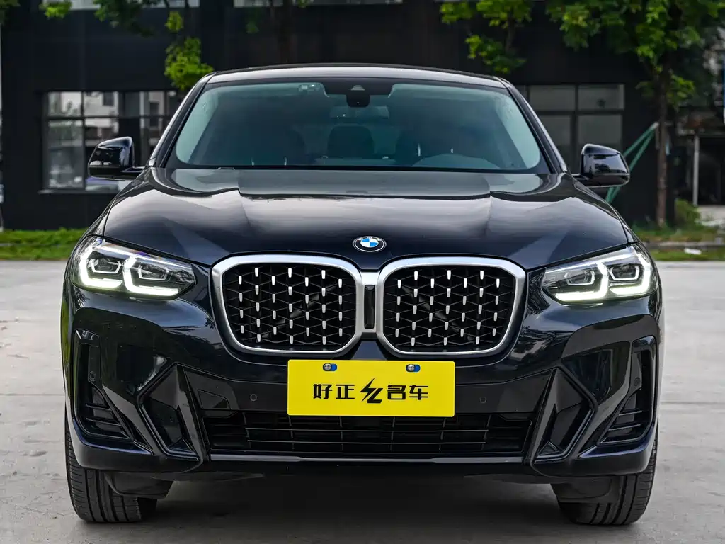 BMW X4 — миниатюра 2