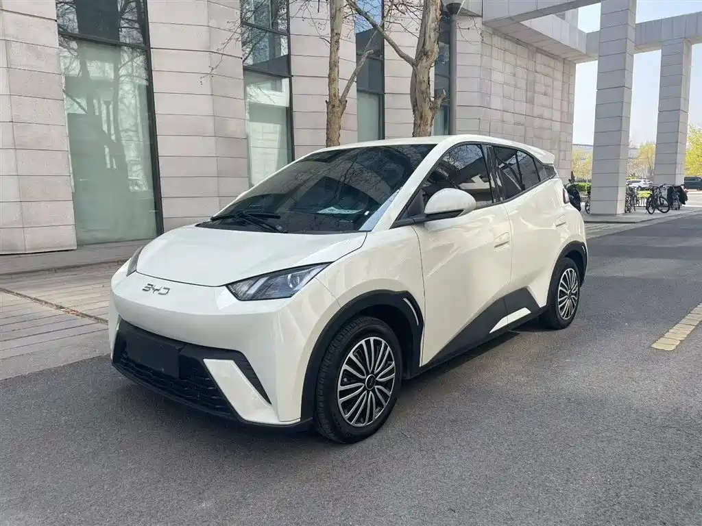 Byd Seagull 2024