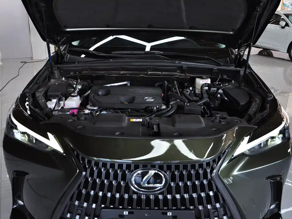 Lexus NX — миниатюра 12