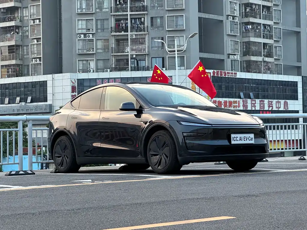 Tesla Model Y — миниатюра 3