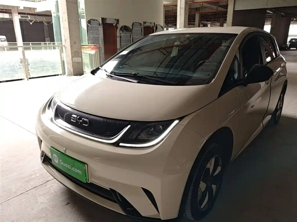 Byd Dolphin 2024