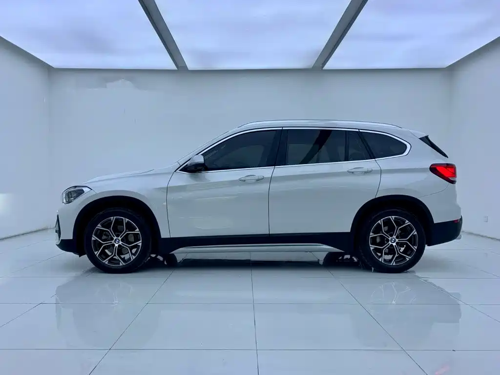BMW X1 sDrive20Li Premium Type, фото 6