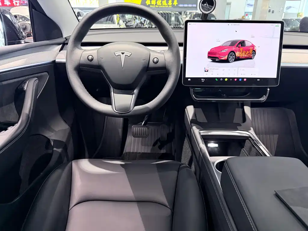 Tesla Model Y — миниатюра 14