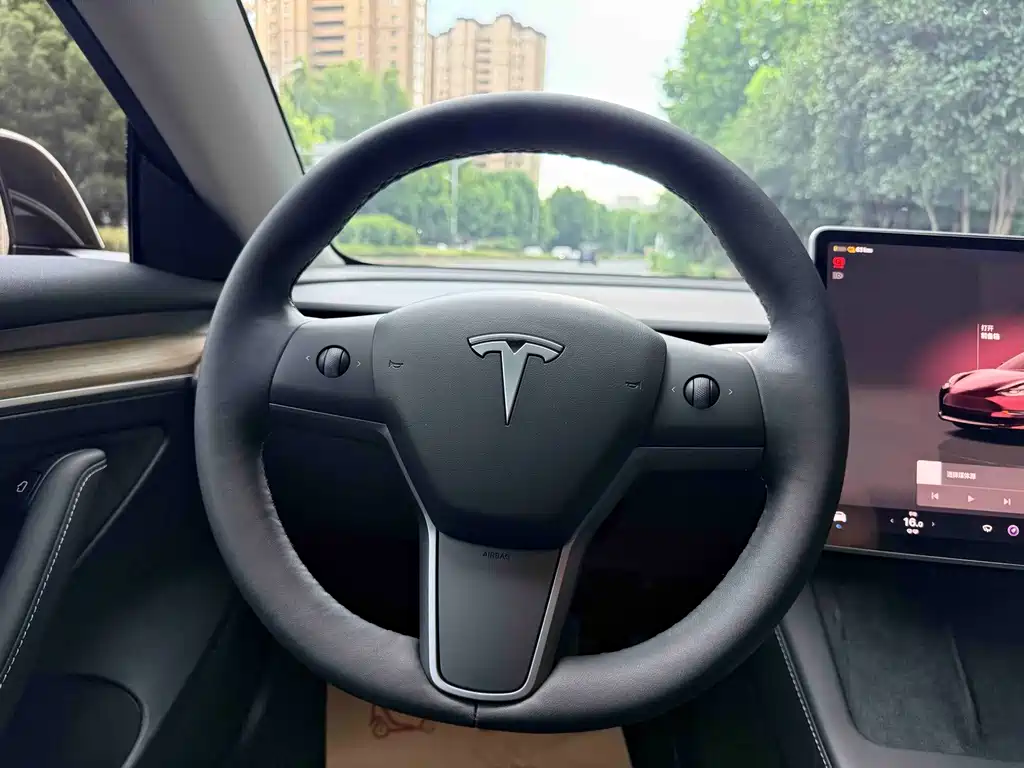 Tesla Model 3 — миниатюра 14