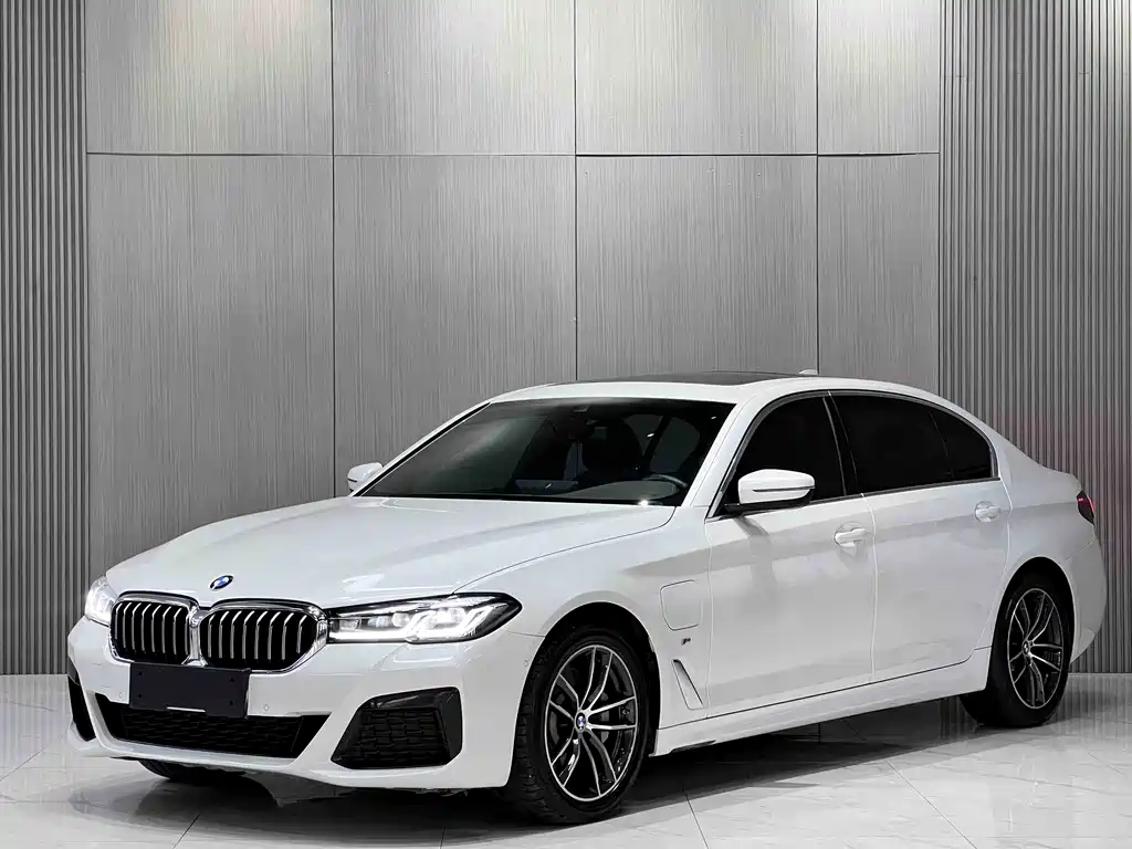 BMW 5 Series New Energy 2021