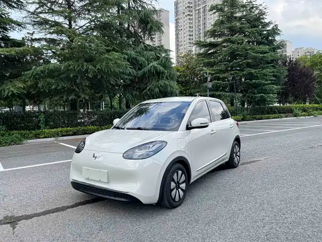 2023 Wuling Motors Binguo