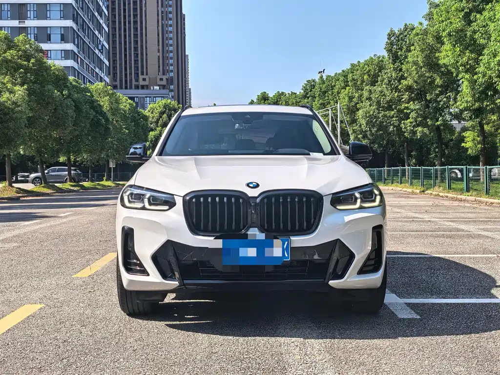 BMW X3 — миниатюра 2