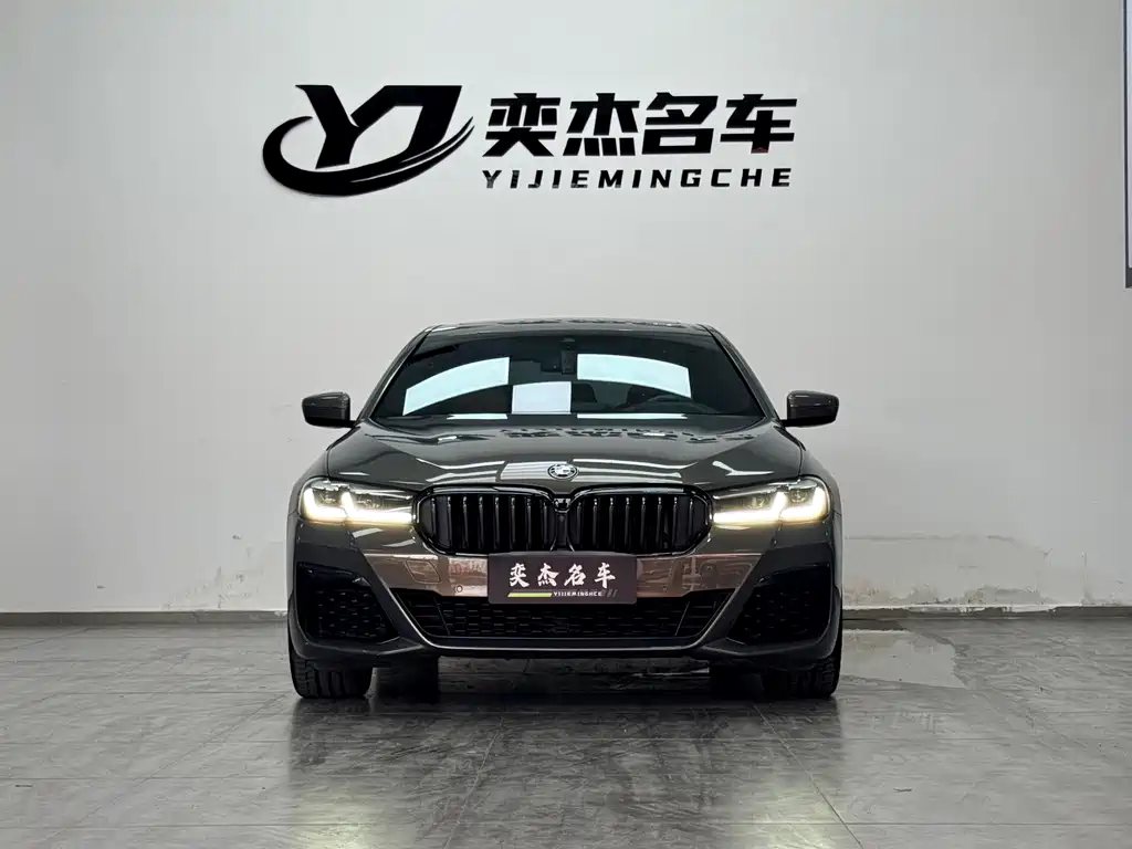 BMW 5 Series (Import) — миниатюра 2