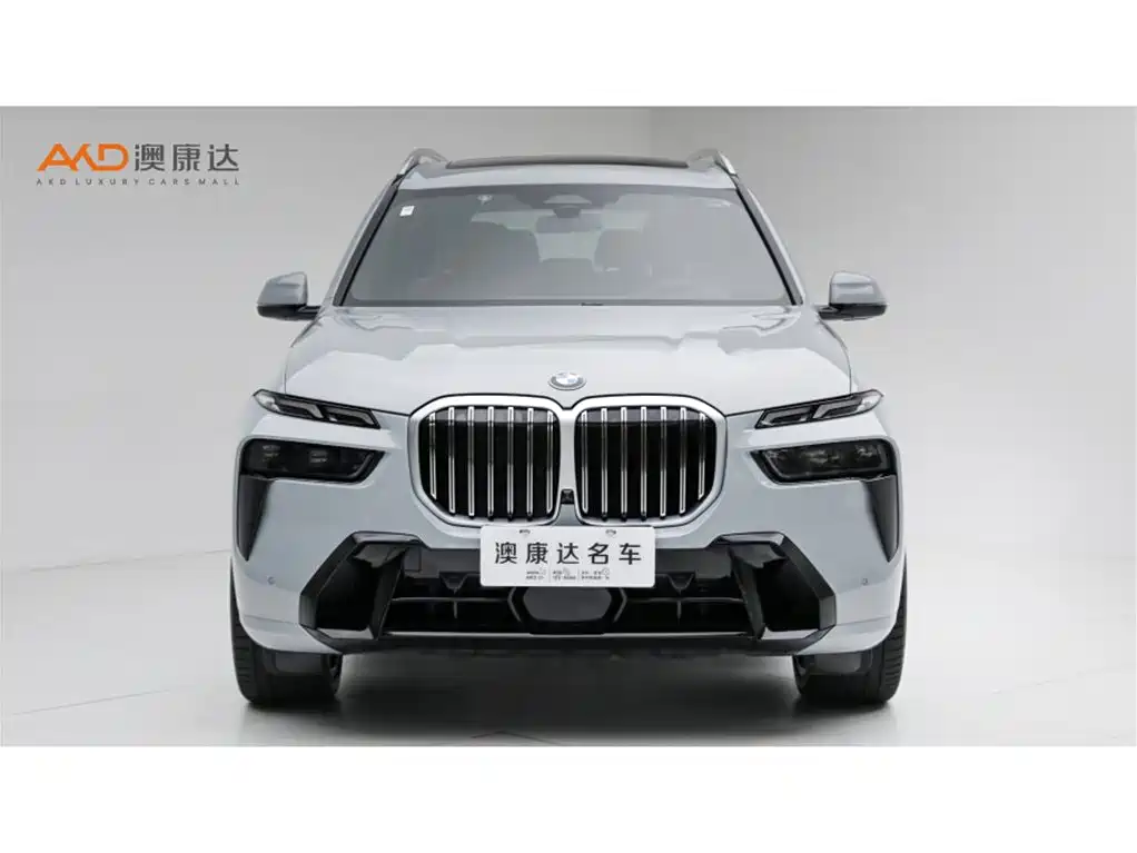 BMW X7 — миниатюра 2