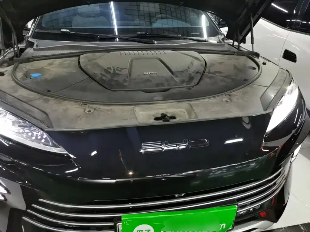 BYD PLUS New Energy — миниатюра 20