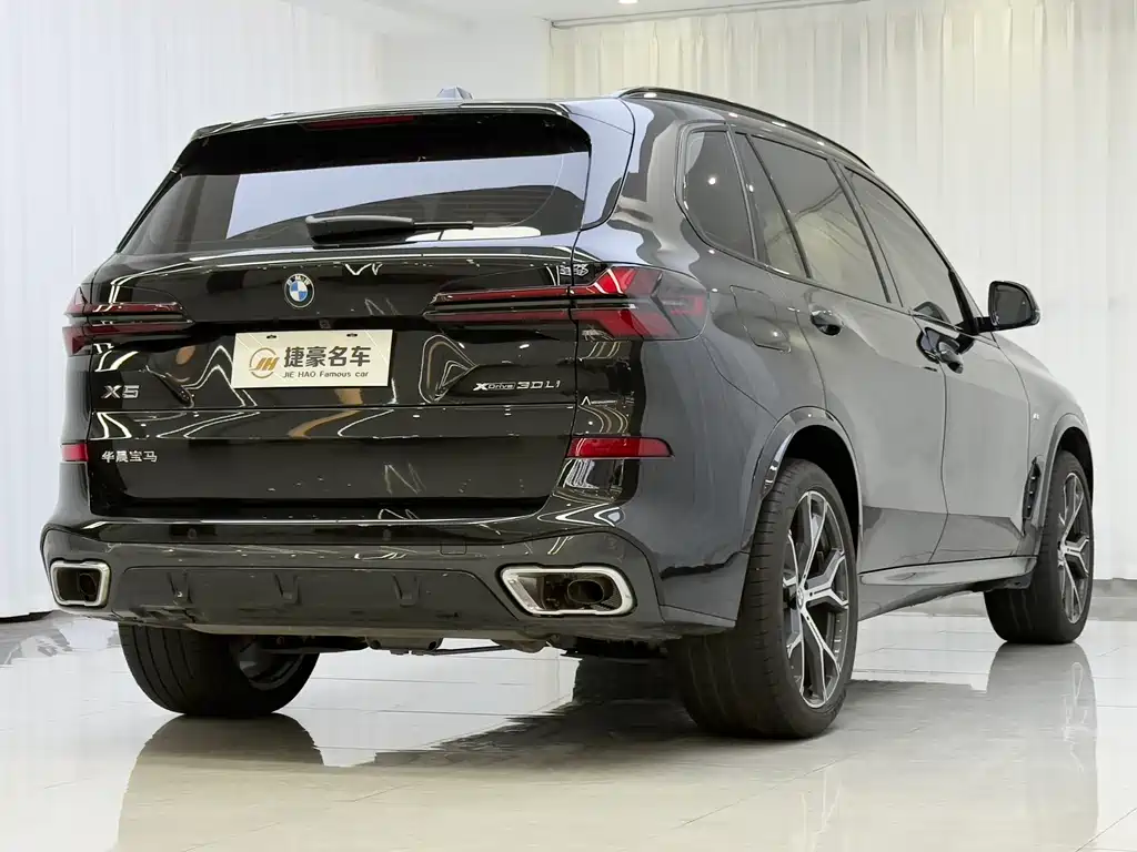 BMW X5 — миниатюра 15