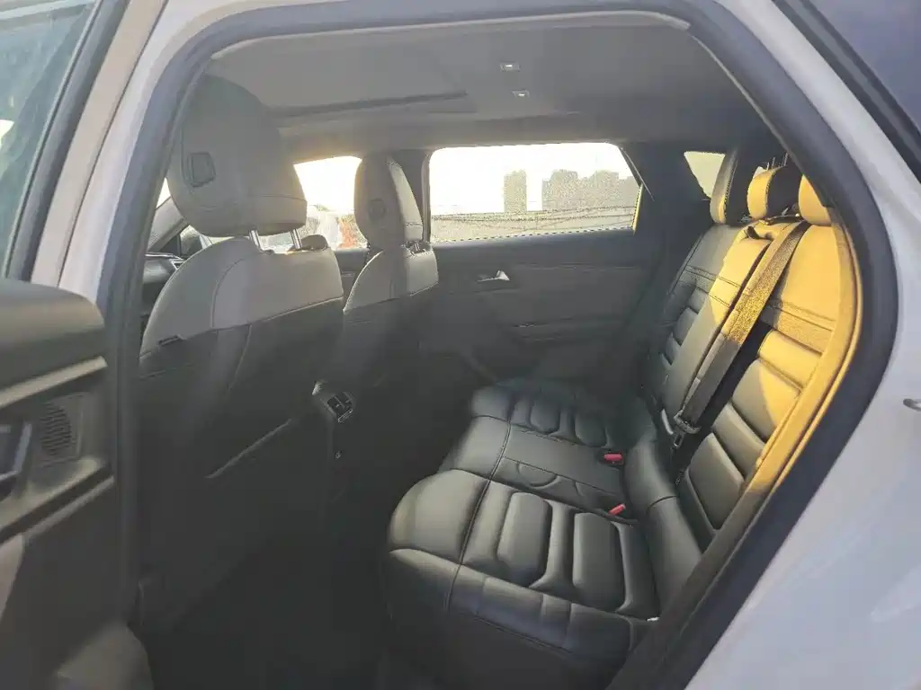 Citroen C5 X — миниатюра 6