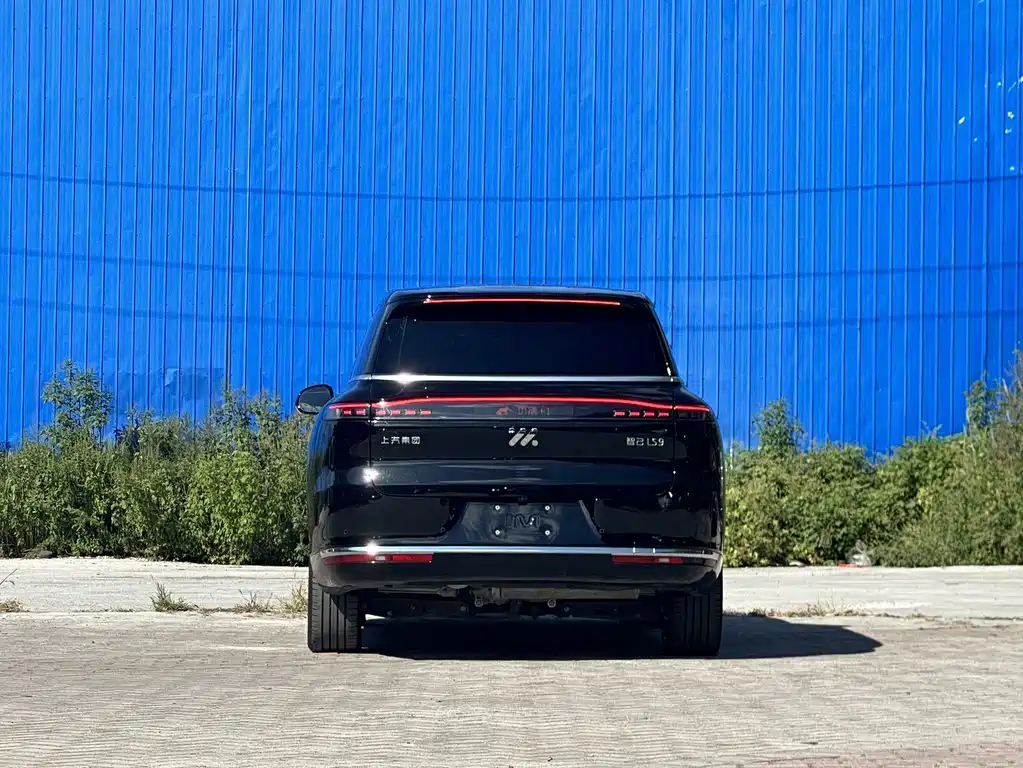 IM IM LS9 — миниатюра 5