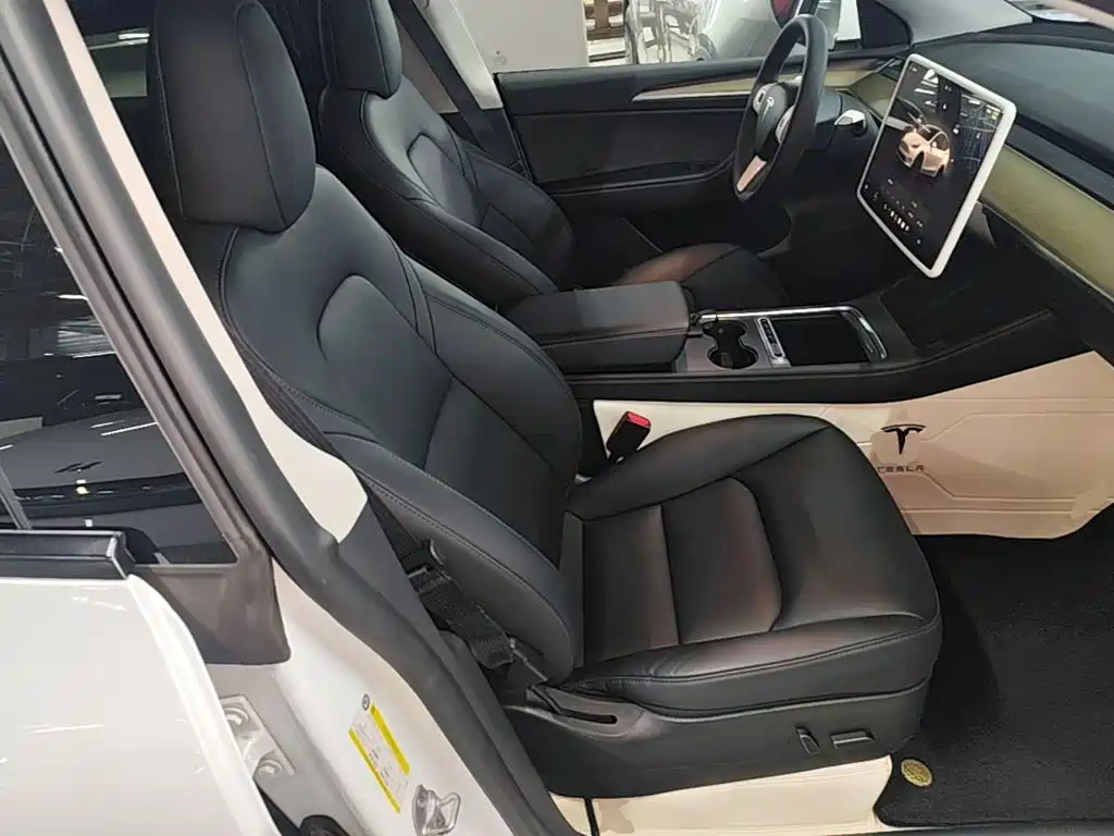 Tesla Model Y — миниатюра 25