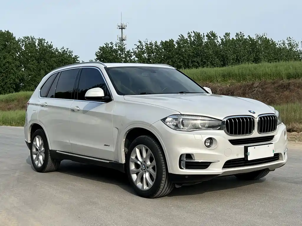 BMW X5 (Import) — миниатюра 3