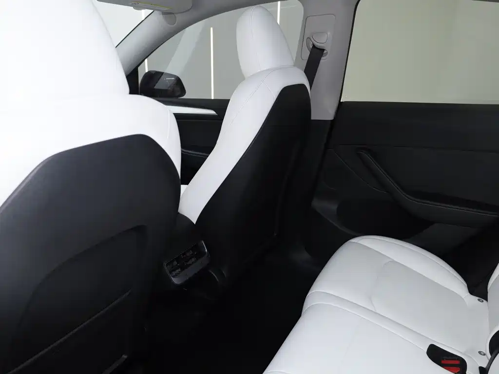 Tesla Model Y — миниатюра 19
