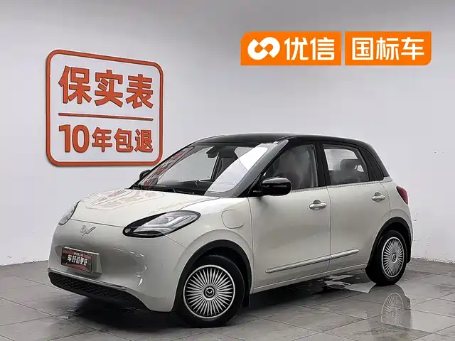 2023 Wuling Motors Binguo