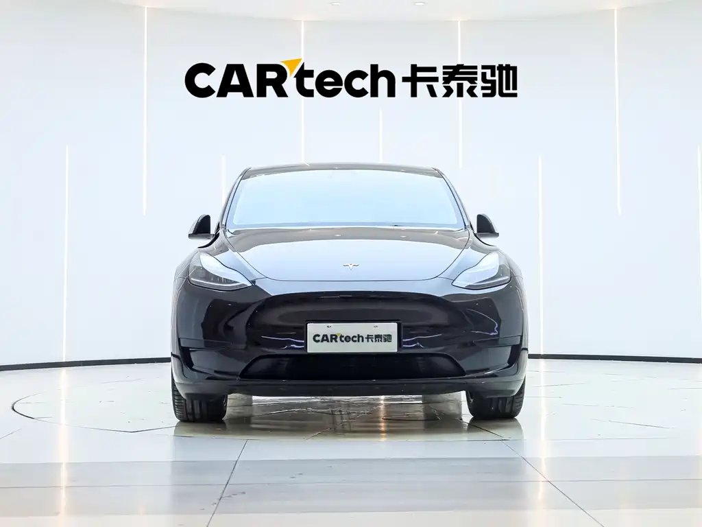 Tesla Model Y — миниатюра 3