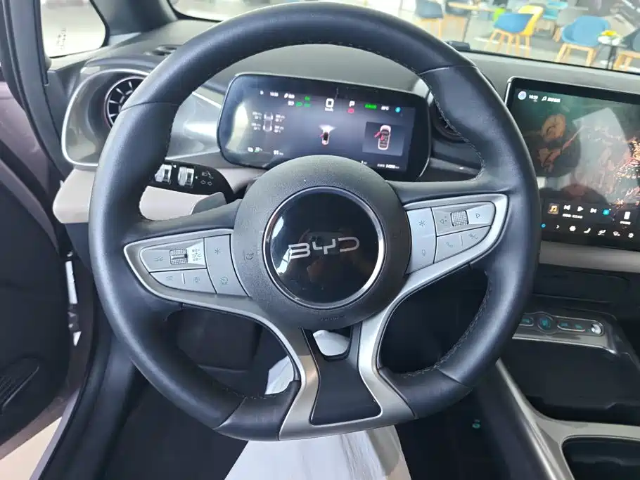 BYD Dolphin — миниатюра 15