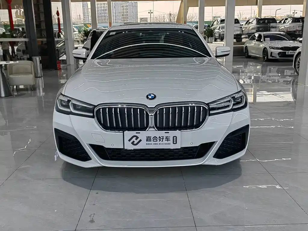 BMW 5 SERIES