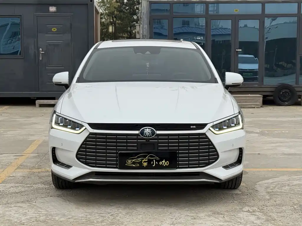 BYD Qin Pro NEV — миниатюра 2