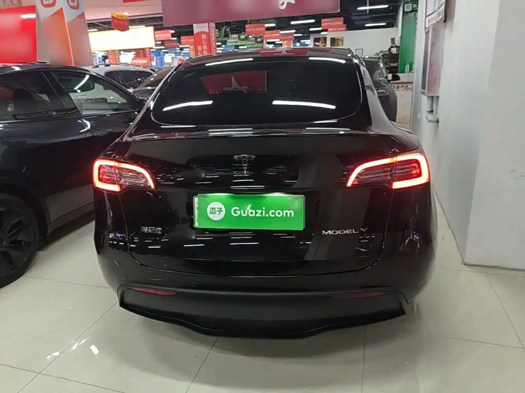 Tesla Model Y — миниатюра 6