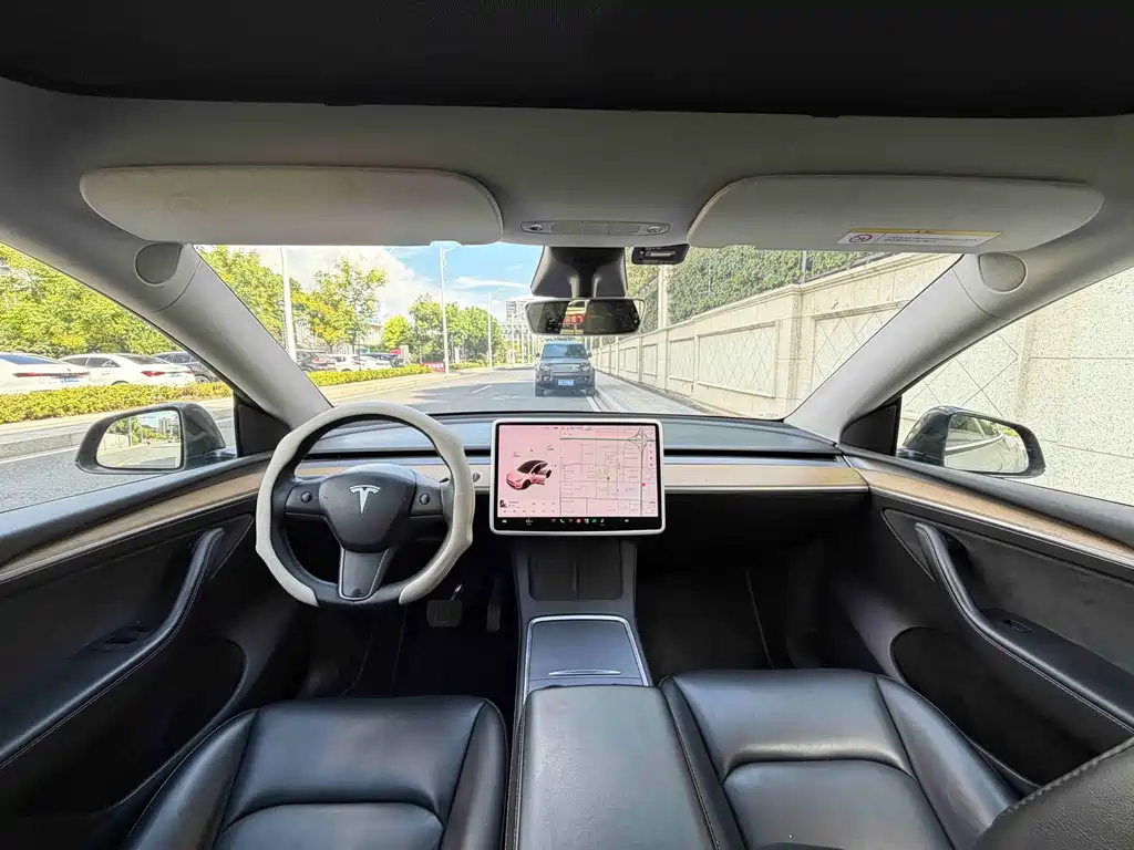 Tesla Model Y — миниатюра 8