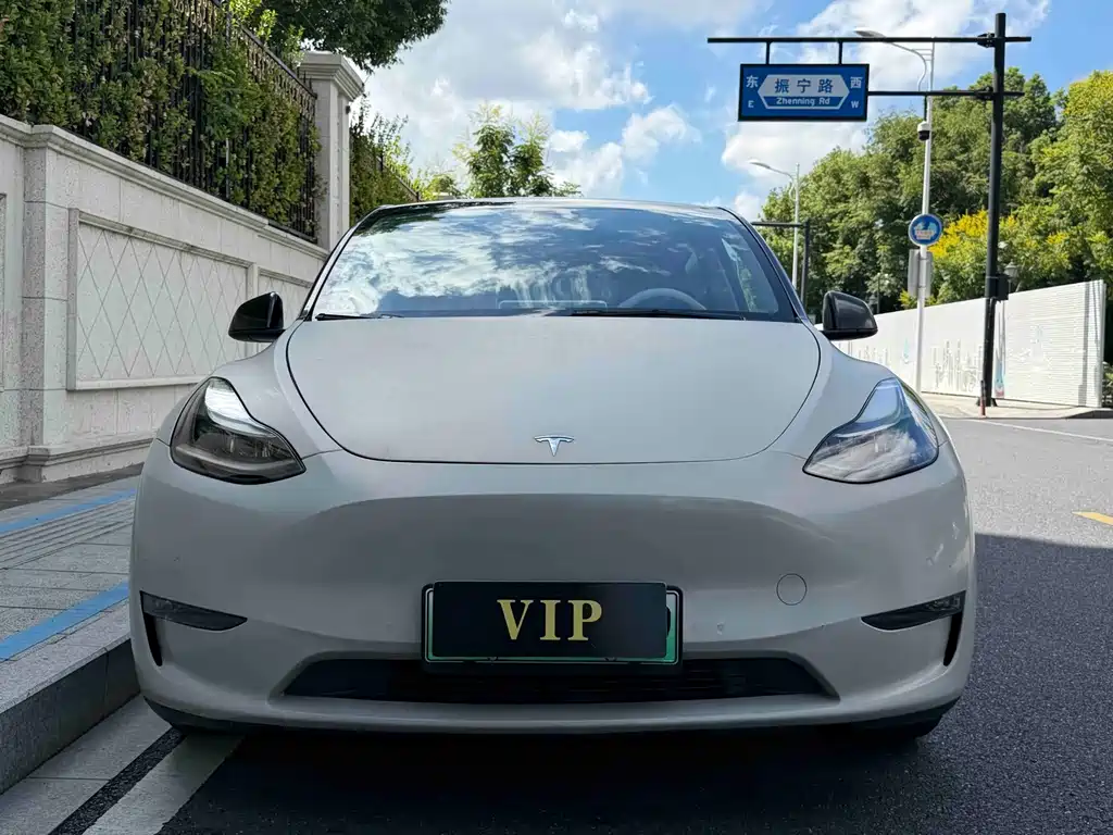 Tesla Model Y — миниатюра 2