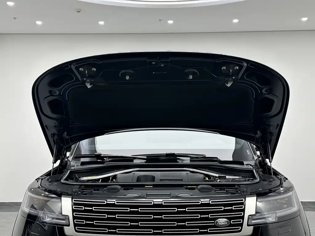 Land Rover Range Rover — миниатюра 22