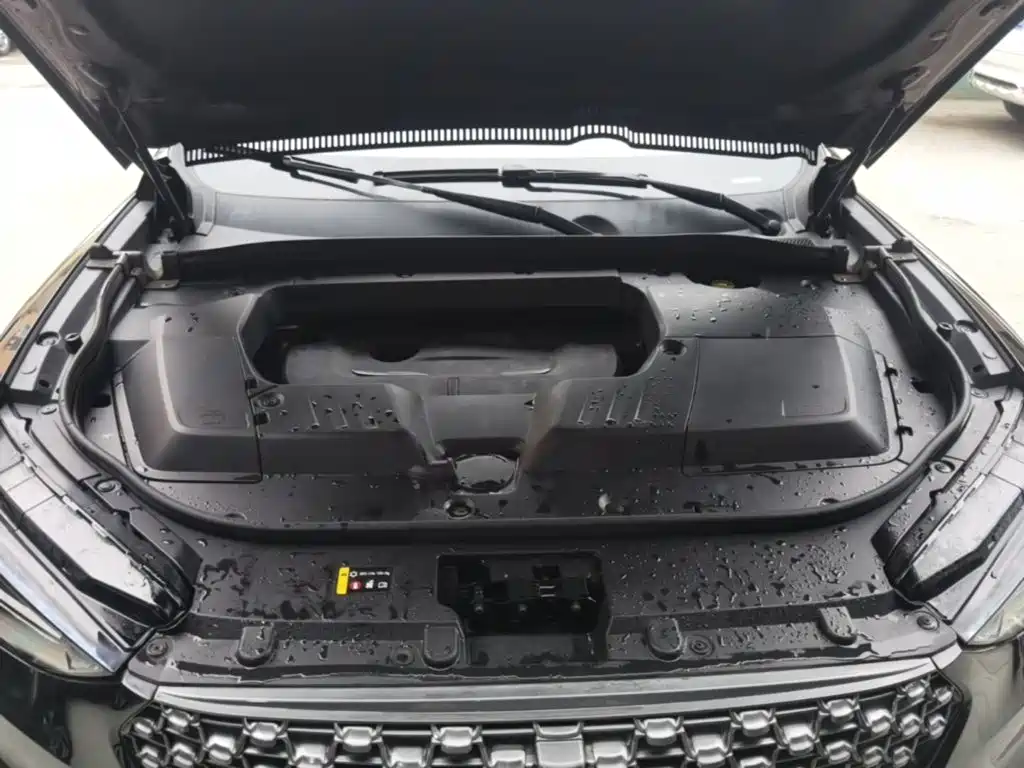 Wey Wey VV6 — миниатюра 20