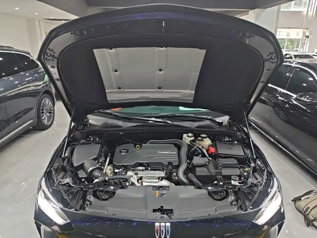Buick Regal — миниатюра 20