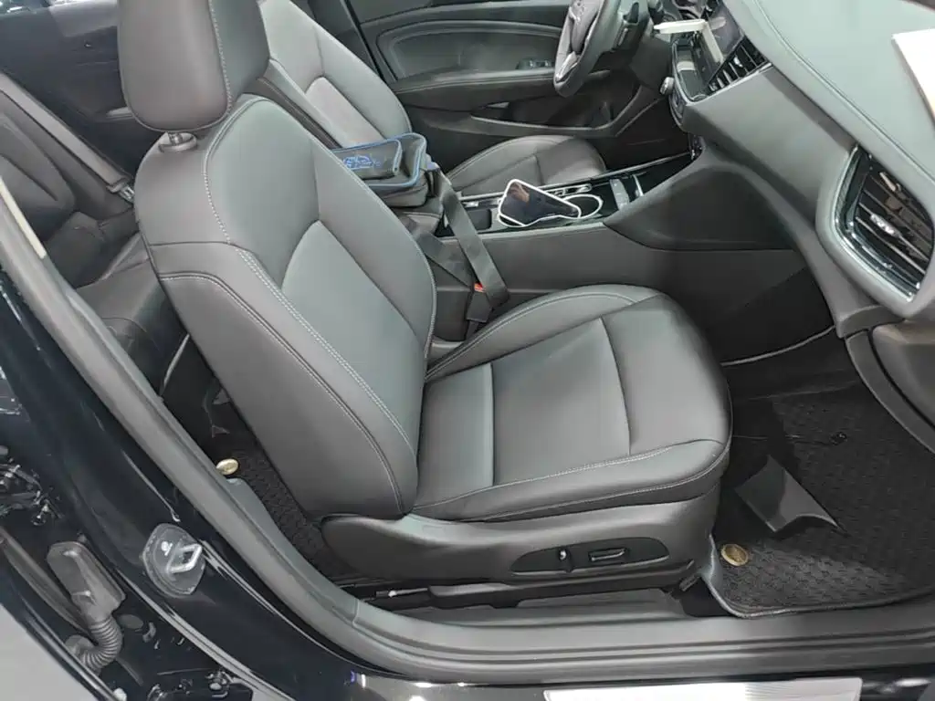 Buick Regal — миниатюра 25