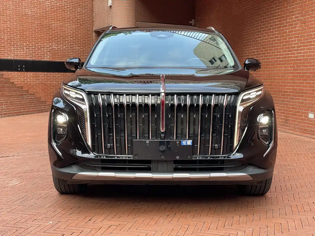 Hongqi Hongqi HS7 PHEV — миниатюра 2