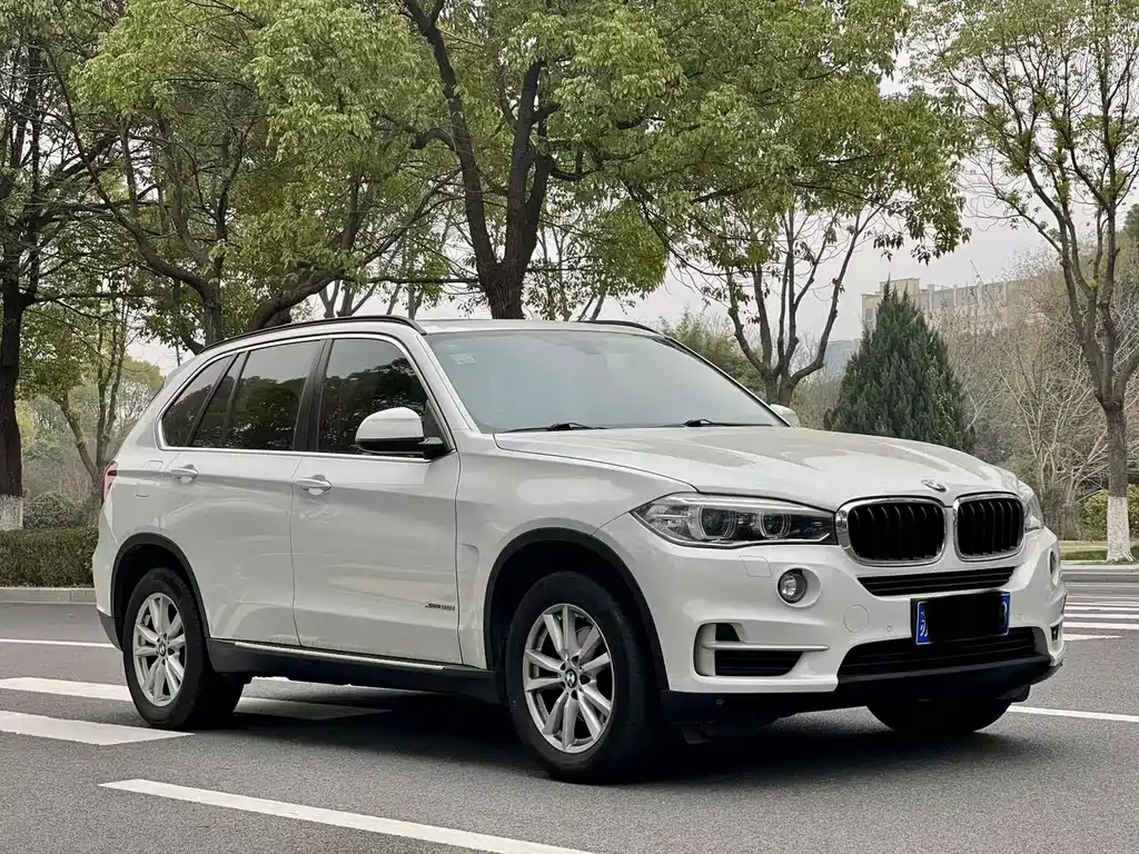 BMW X5 (Import) — миниатюра 3
