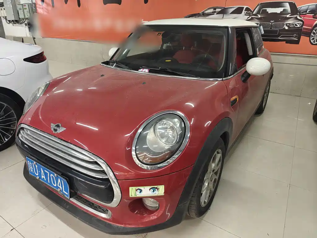 Mini Mini 2015