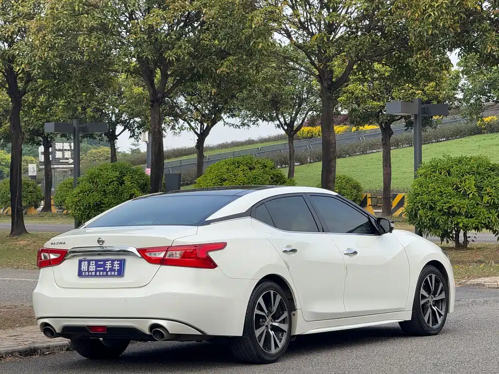 Nissan Cima — миниатюра 18