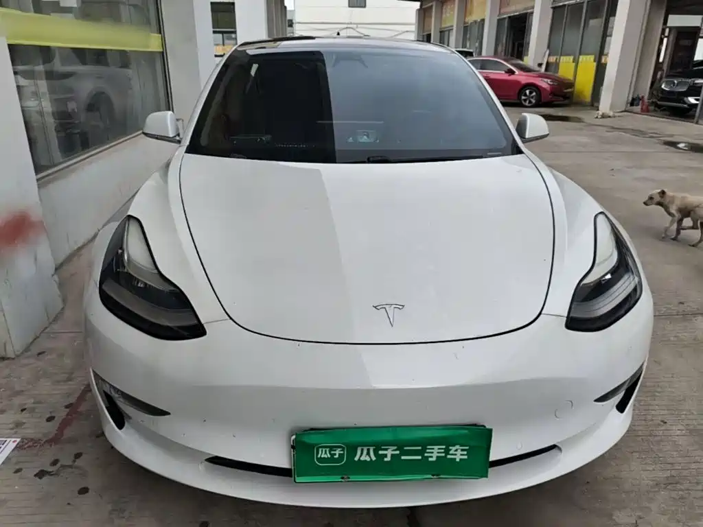 Tesla Model 3 — миниатюра 3