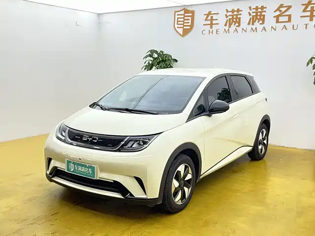 2026 BYD Dolphin