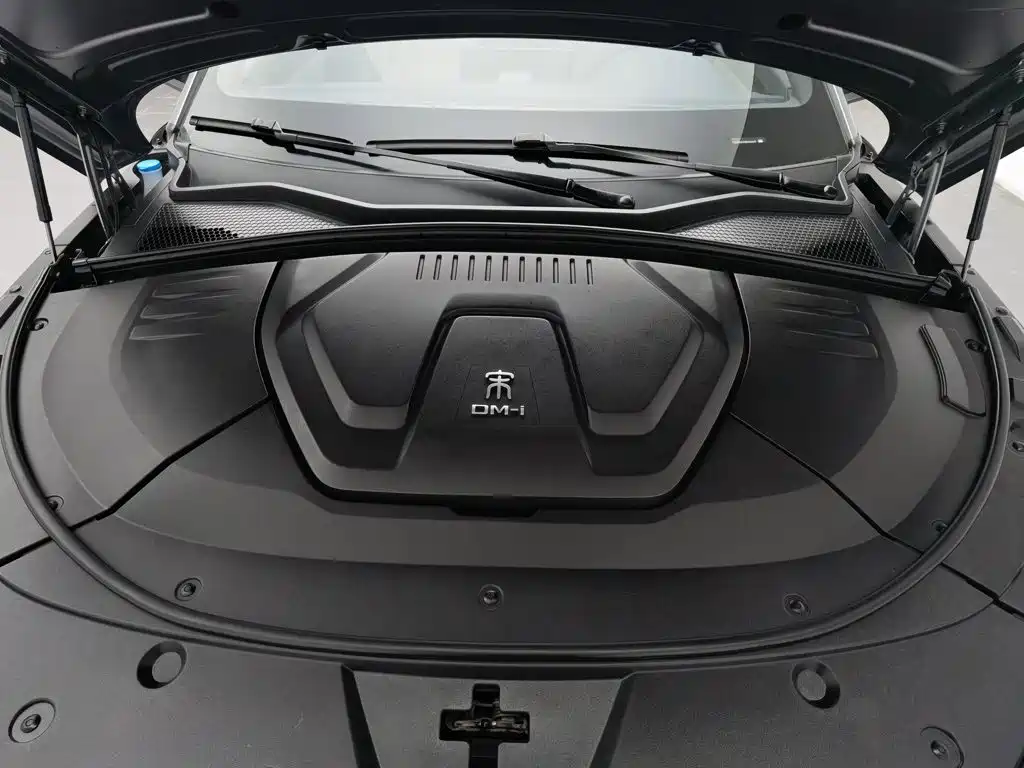 BYD PLUS New Energy — миниатюра 6