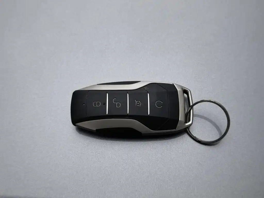 BYD PLUS New Energy — миниатюра 19