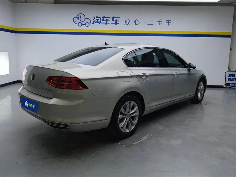 Volkswagen Magotan 2019 330TSI DSG Luxury VI