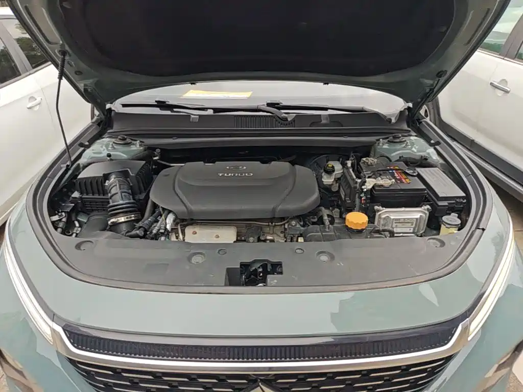 Baojun Valli — миниатюра 20