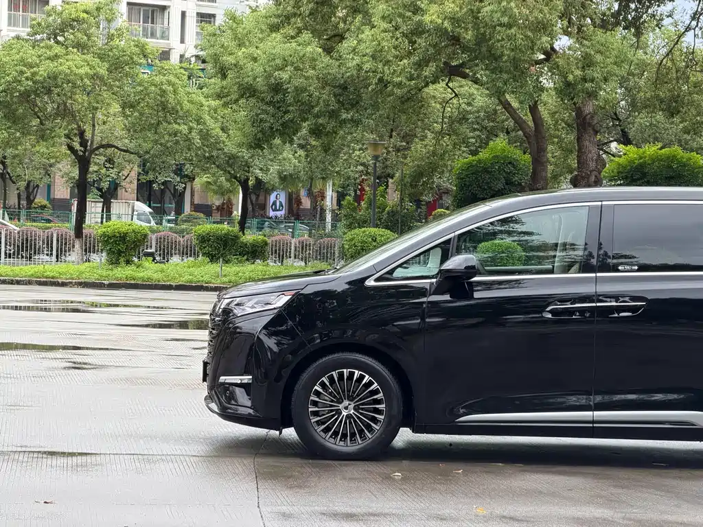 Denza Denza D9 — миниатюра 5