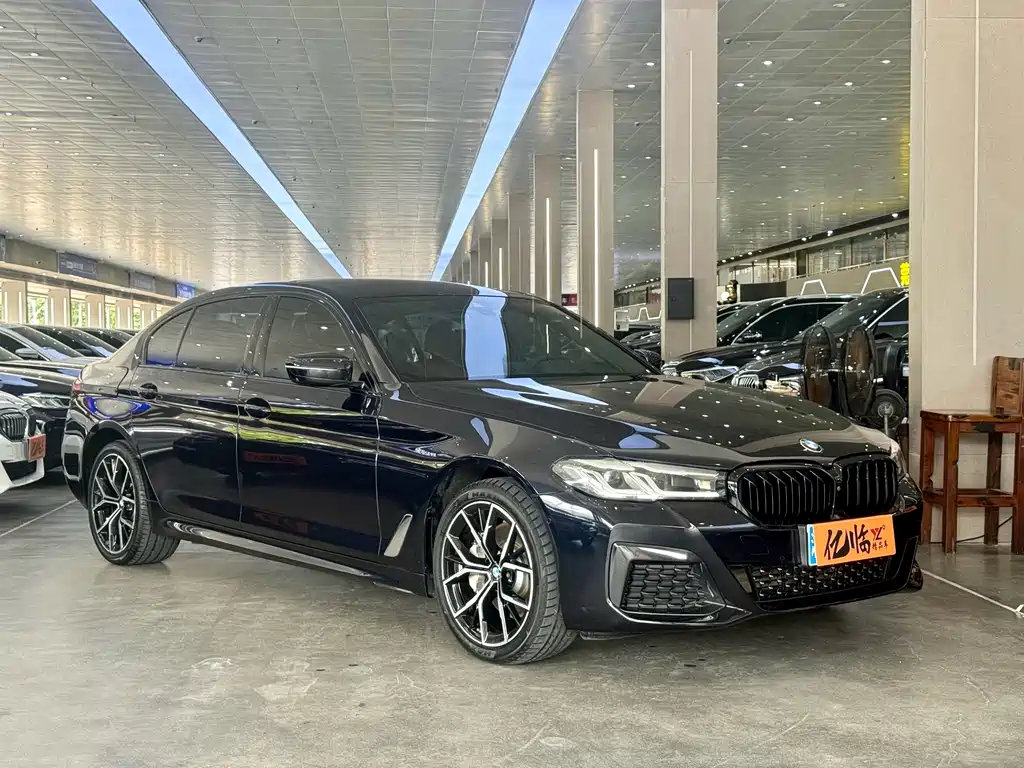 BMW 5 Series — миниатюра 3