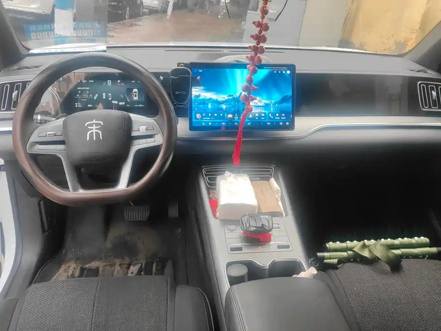 BYD Pro New Energy — миниатюра 12