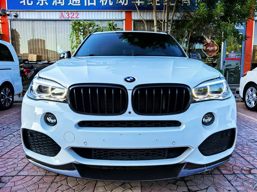 BMW X5 (Import) — миниатюра 2