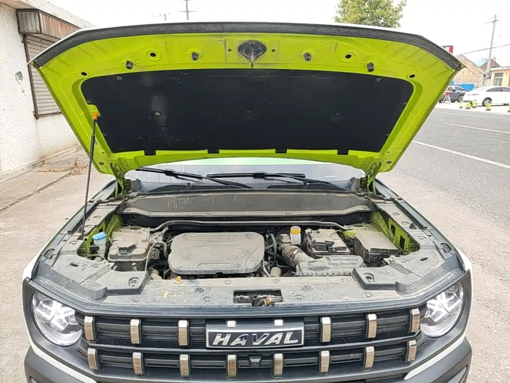 Haval Cool Dog — миниатюра 20