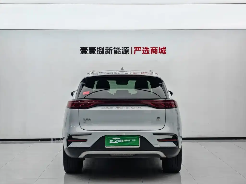 BYD Tang New Energy — миниатюра 9